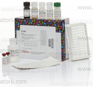 Набор для изотипирования Rapid ELISA Mouse mAb