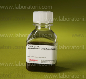 Магнитные частицы MagnaBind Goat Anti-Rabbit IgG