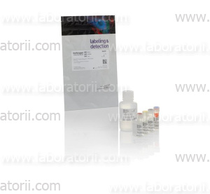 Набор Qubit Protein Assay Kit для определения 0,25—5 мкг белка.