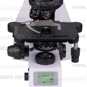 Микроскоп биологический цифровой MAGUS Bio DH260, изображение 12