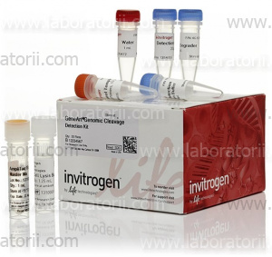 Набор GeneArt Genomic Cleavage Detection