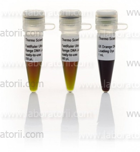 ДНК-маркер FastRuler, 10-200 п.н, Ultra Low Range DNA Ladder