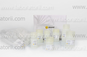 Набор для выделения плазмидной ДНК  AFTSpin EndoFree Plasmid maxi kit